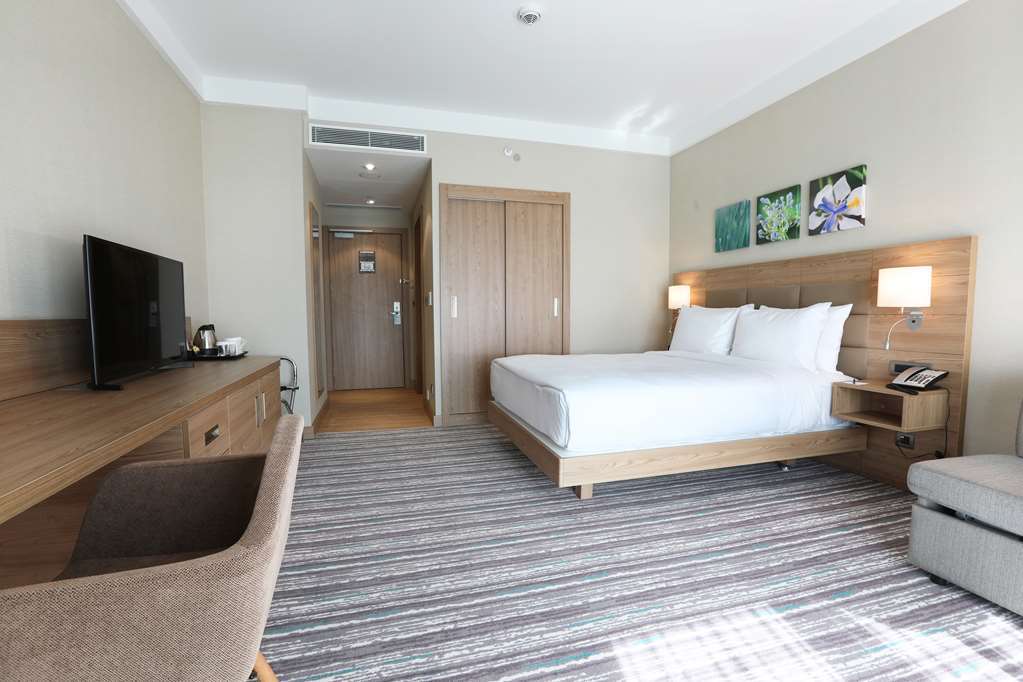 Hilton Garden Inn Adiyaman Room photo